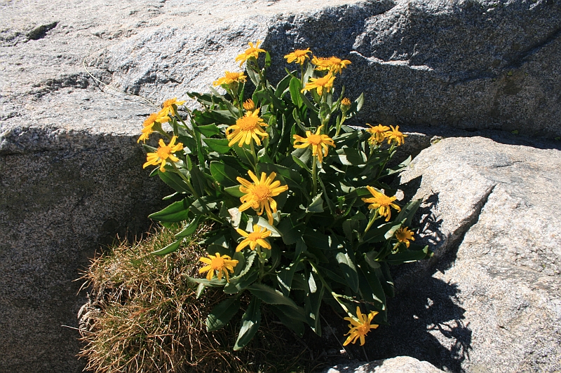 Bulgaria 2008 701